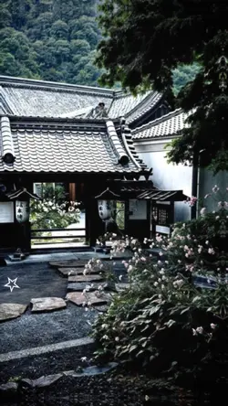 pic nhiều ảnh 