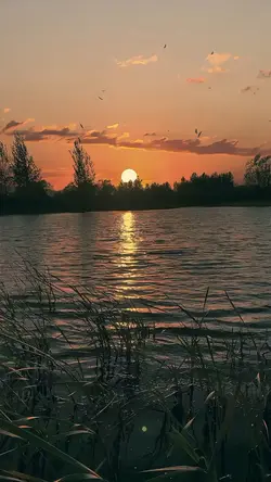 Luna Azul