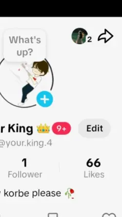 tiktok profile view