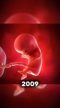 2009 vs 2026