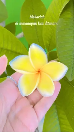 Shine flower