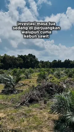 petani sawit muda 