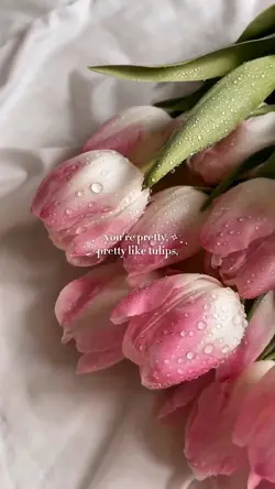 Pretty like Tulips🌷✨
