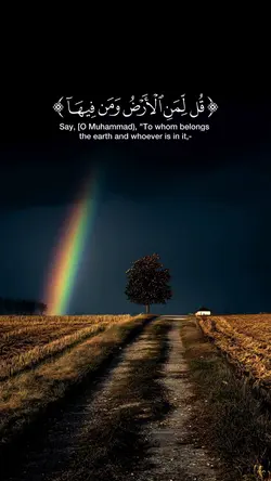 سورة المؤمنون