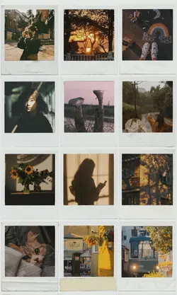aesthetic frame
