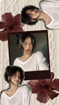 frame aesthetic