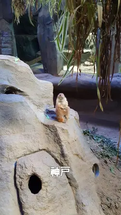 동물 동물원