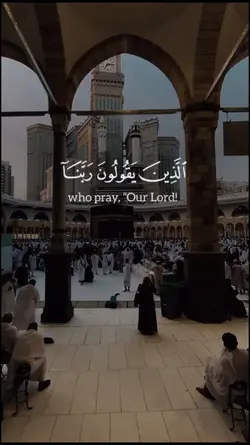 سورة_ال_عمران_quran