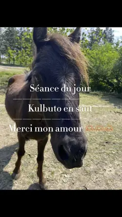 Séance du jour 