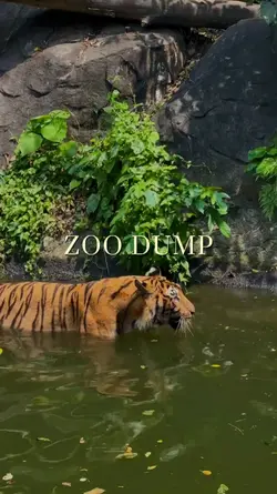 ZOO DUMP