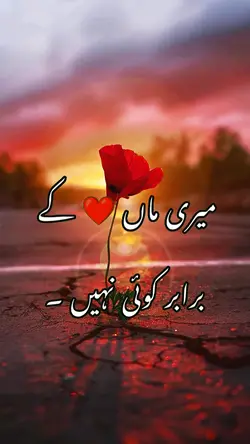 میری ماں کے برابر 