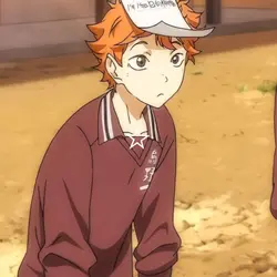 Hinata shoyo 
