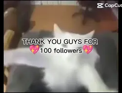 TY GUYS