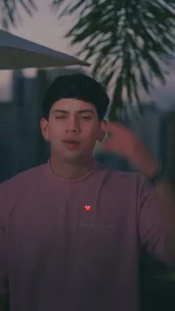 Beija Flor ❤️