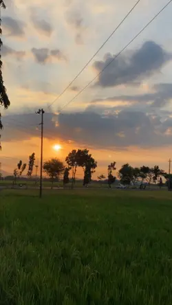 Cinematic Vidio
