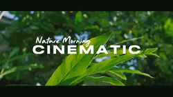 Cinematic Nature Aes