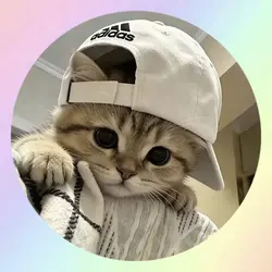 rainbow pfp
