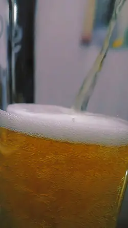 Beer