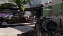 Highlights cod