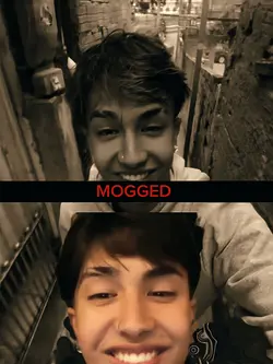 MOGGED edit
