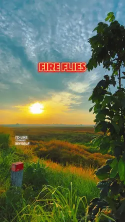 Fireflies