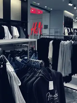 Aesthetic