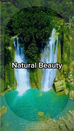 Natural Beauty 