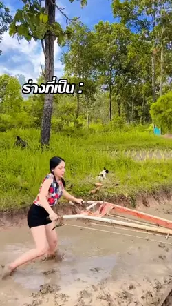 เทสทีสร้างร่างทีเป็น