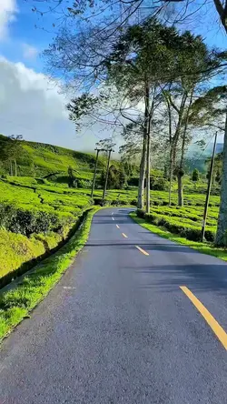 6 clips travel road 