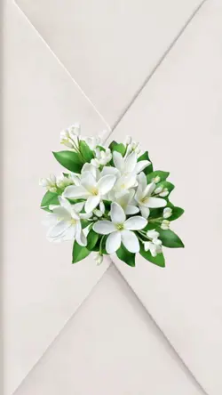Invitación Boda 8