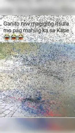 kape is lyf