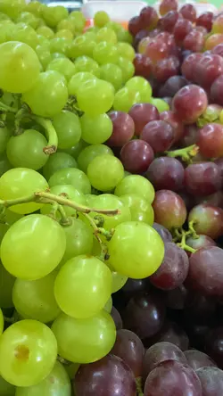 Hortifruti 
