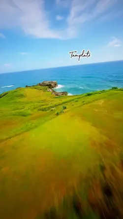 Video or photo 