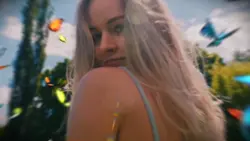 butterflies effect