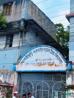 গন মিছিল 