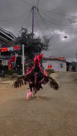 Ayam Lah