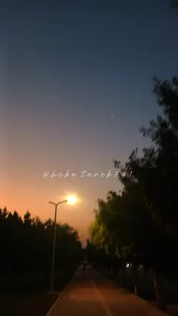 العربي أصلي/ويجز 