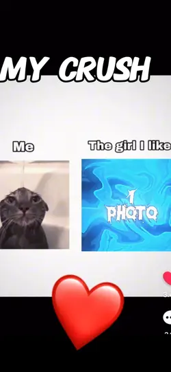 The girl I like..