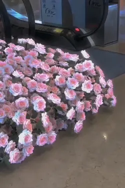 年少轻狂，试试又何妨