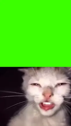 cat singing meme