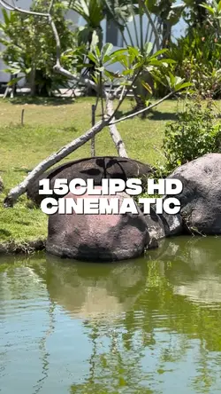 15Clips Cinematic