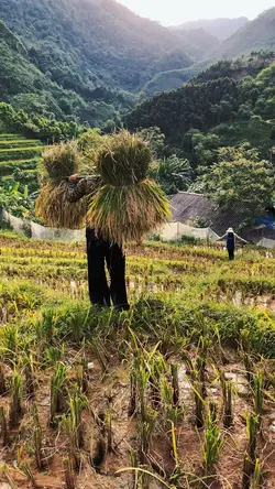 Mẫu chill tua nhanh