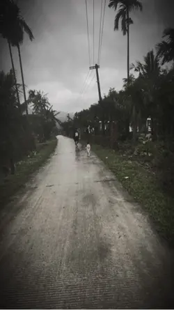 Mẫu 1 video 