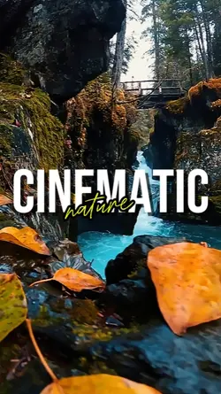 CINEMATIC NATURE