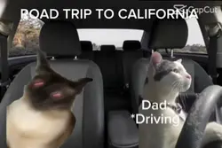 POV:road trip time
