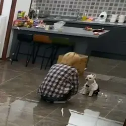영퀄평가방😘