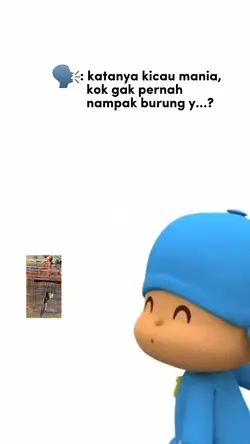 Kicau mania