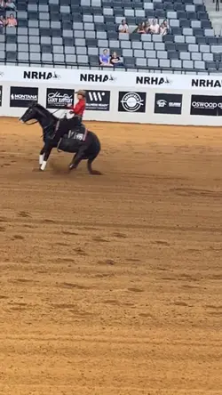 Reining showww
