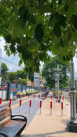 Curi curi pandang