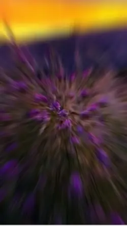 New Template 